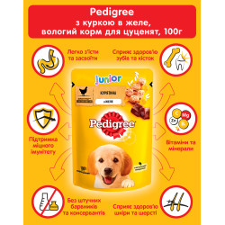 Pedigree Puppy Junior Паучі Для Собак Курка з Рисом у Желе 100 г