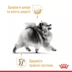 Royal Canin Pomeranian: Вологий корм для дорослих собак-шпіців
