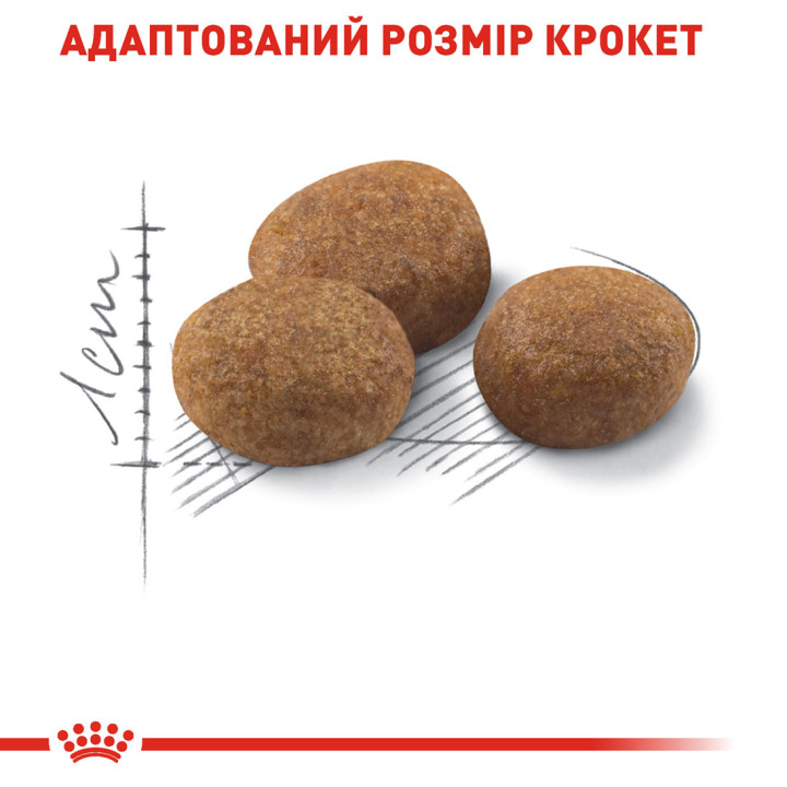 Купити 10 кг Royal Canin Sterilised 7+ для стерилізованих котів старше 7 років | Харчування для здоров'я нирок