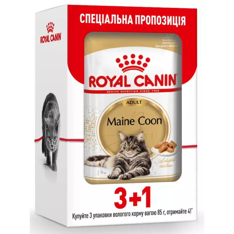 Royal Canin Maine Coon - вологий корм для котів породи Мейн-кун