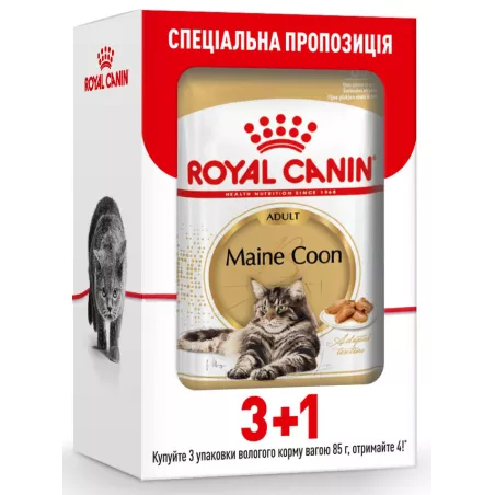 Royal Canin Maine Coon - вологий корм для котів породи Мейн-кун