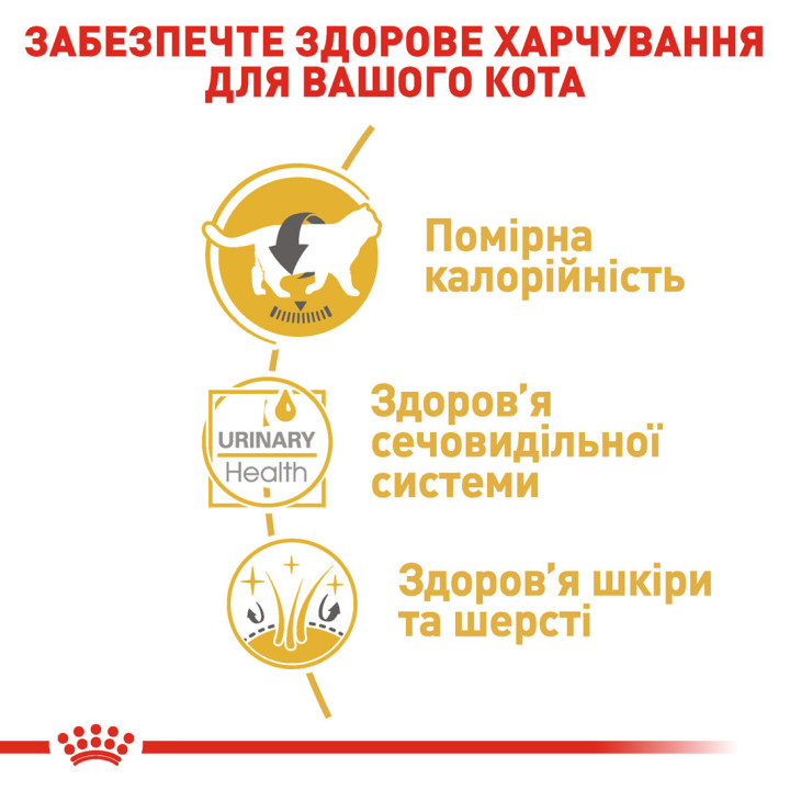Royal Canin British Shorthair Adult: корм для британської короткошерстої  паучі 0,085 кг