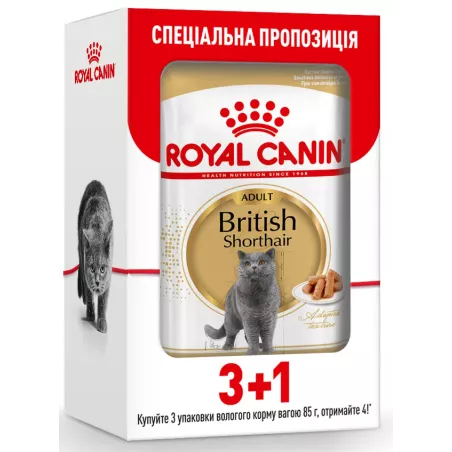 Royal Canin British Shorthair Adult: корм для британської короткошерстої  паучі 0,085 кг