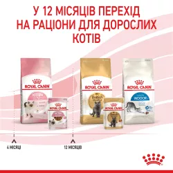 Royal Canin Kitten Gravy - вологий корм для кошенят до 12 місяців