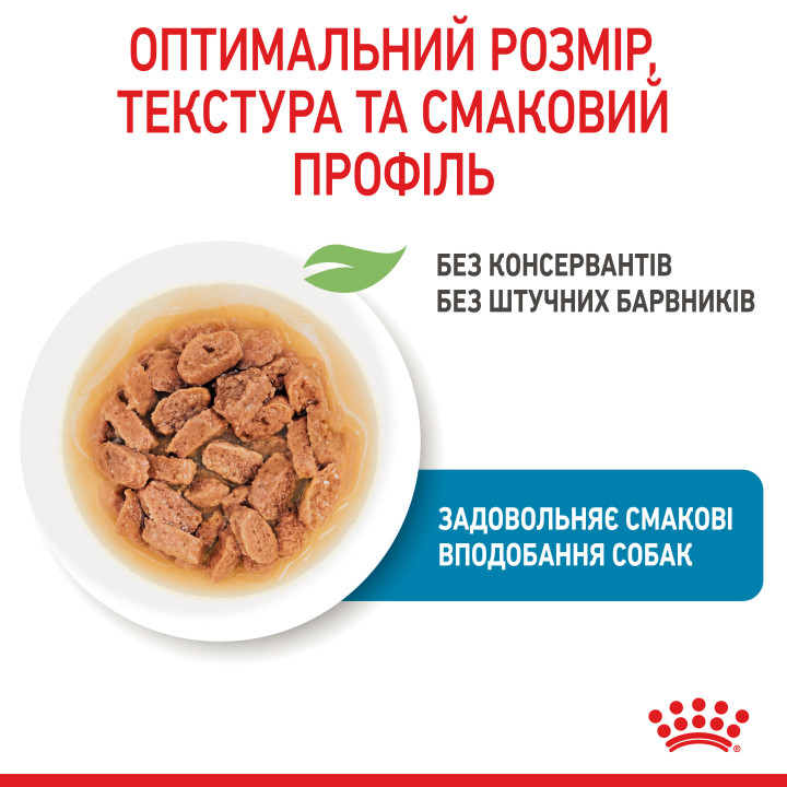 3+1 Royal Canin Mini Puppy  0.085 кг| Консервований корм для цуценят малих порід