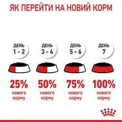 Royal Canin Digest Sensitive Gravy - корм для дорослих котів з чутливим травленням