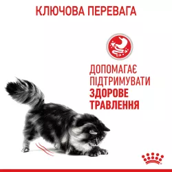 Royal Canin Digest Sensitive Gravy - корм для дорослих котів з чутливим травленням