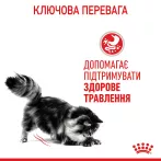 Royal Canin Digest Sensitive Gravy - корм для дорослих котів з чутливим травленням