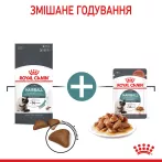 3+1 Royal Canin Hairball Care Консервований Корм Для Котів Виведення Шерсті 0,085 кг