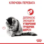 3+1 Royal Canin Hairball Care Консервований Корм Для Котів Виведення Шерсті 0,085 кг