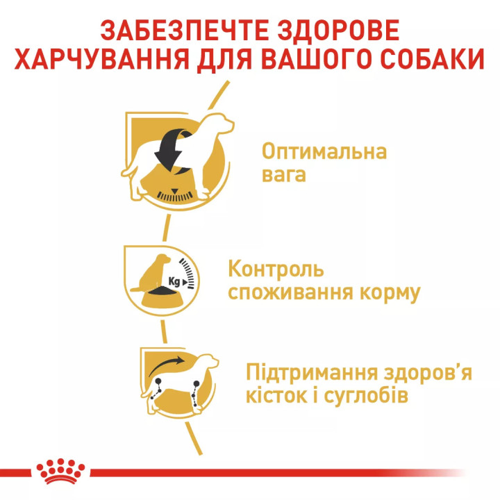 Royal Canin сухий корм для дорослих мопсів від 10 міс 3 кг