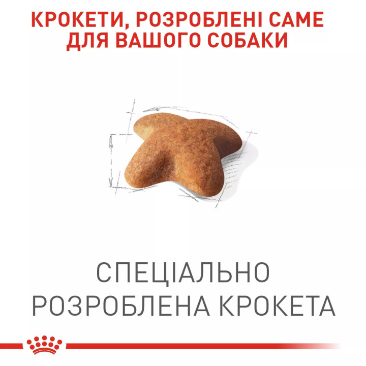 Royal Canin сухий корм для дорослих мопсів від 10 міс 3 кг
