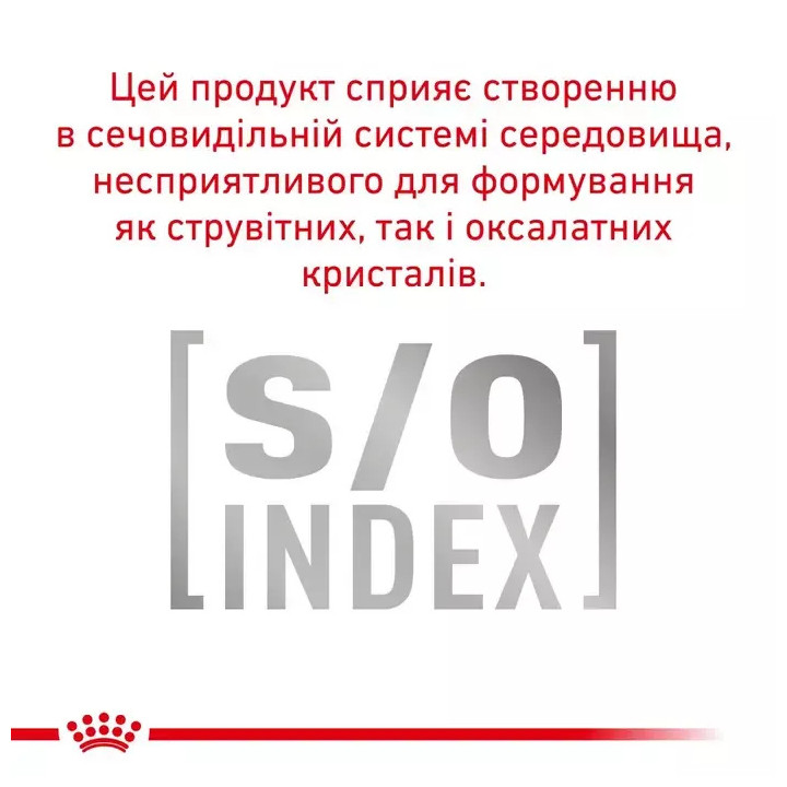 Купити сухий корм Royal Canin для кастрованих котів - Оптимальна вага та здоров'я