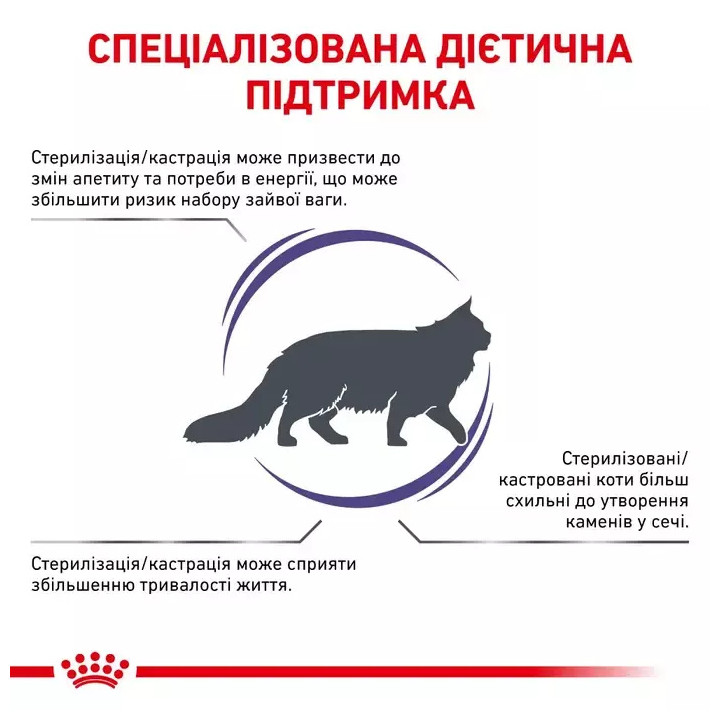 Купити сухий корм Royal Canin для кастрованих котів - Оптимальна вага та здоров'я