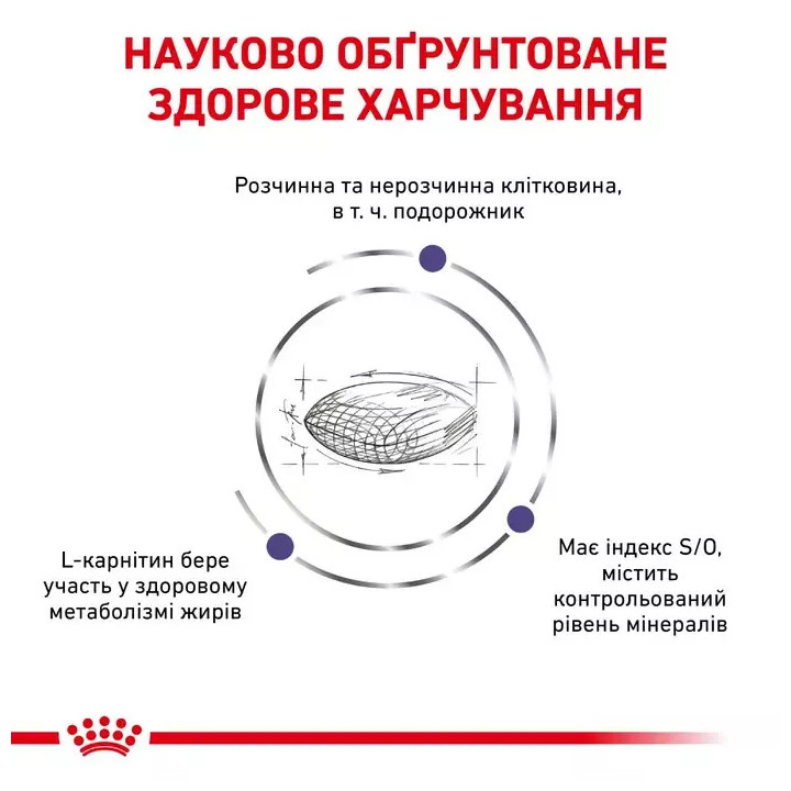 Купити сухий корм Royal Canin для кастрованих котів - Оптимальна вага та здоров'я