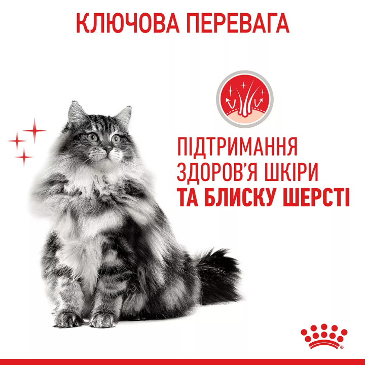 Вологий корм для котів Royal Canin Intense Beauty Gravy