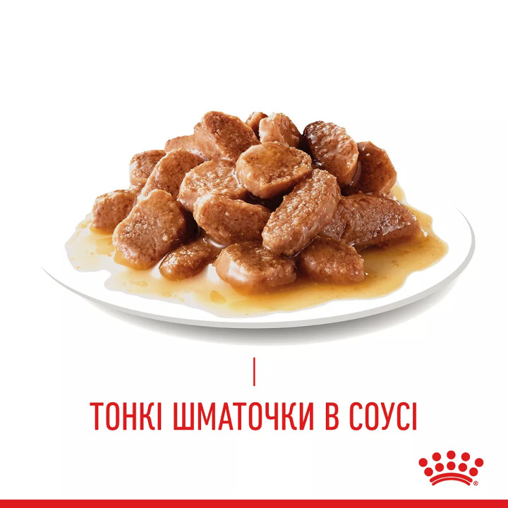 Вологий корм для котів Royal Canin Intense Beauty Gravy