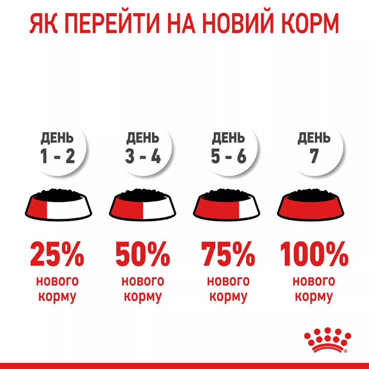 Вологий корм для котів Royal Canin Intense Beauty Gravy