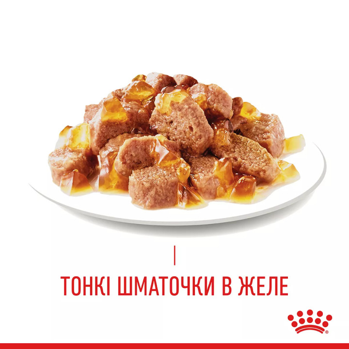 Купити вологий корм для котів Royal Canin Intense Beauty Jelly - підтримайте красу шерсті та здоров’я свого улюбленця!