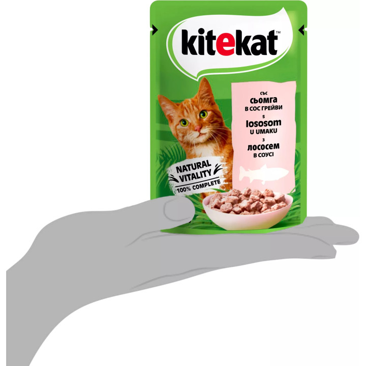 Kitekat з яловичиною в соусі | Вологий корм для котів | Доставка по Україні