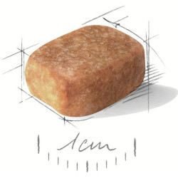 Купити Royal Canin Chihuahua Adult – Оптимальний Корм для Чихуахуа