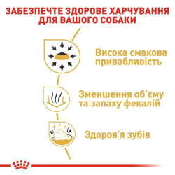 Купити Royal Canin Chihuahua Adult – Оптимальний Корм для Чихуахуа