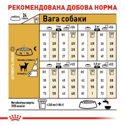 Купити Royal Canin Chihuahua Adult – Оптимальний Корм для Чихуахуа
