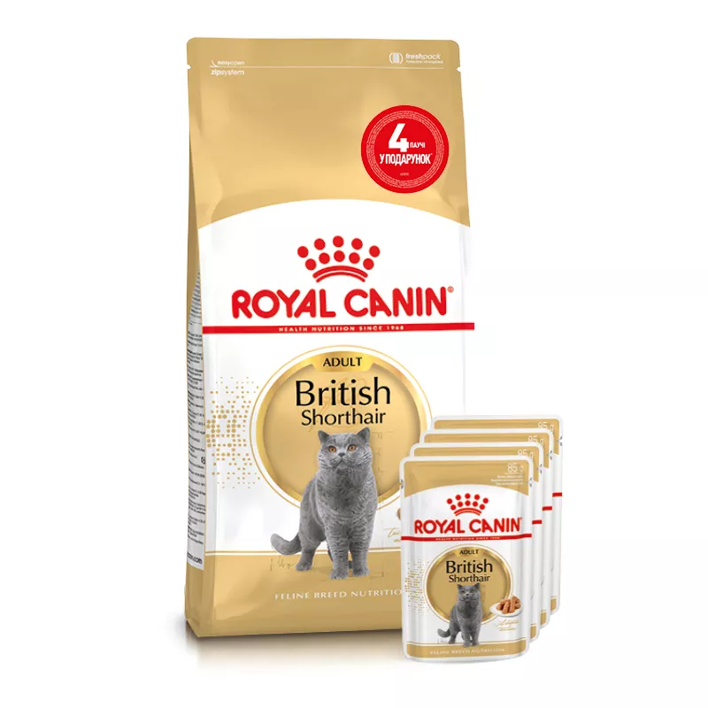 4 паучі Подарунок British Shorthair Adult | Royal Canin | Сухий корм для дорослих котів 2 кг