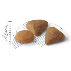 Паучі в Подарунок - Купити 2 кг Royal Canin Savour Exigent для вибагливих котів | Ваш онлайн-зоомагазин