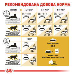 Maine Coon Adult 2 кг | Royal Canin | Сухий Корм Для Котів Мейнкун