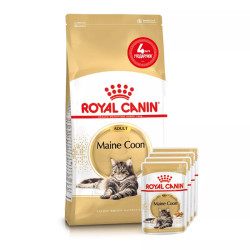 4 пачучі в Подарунок - Royal Canin Maine Coon Adult 2 кг - Сухий Корм Для Котів Мейнкун