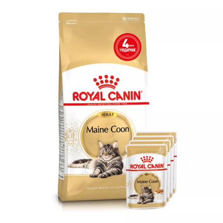4 пачучі в Подарунок - Royal Canin Maine Coon Adult 2 кг - Сухий Корм Для Котів Мейнкун