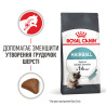 Подарунок! Паучі. Купити 2 Сухий корм Royal Canin Hairball Care для котів - здоров'я при ковтанні шерсті