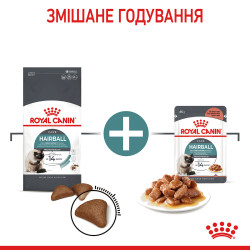 Подарунок! Паучі. Купити 2 Сухий корм Royal Canin Hairball Care для котів - здоров'я при ковтанні шерсті