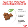 Royal Canin Kitten Sterilised: Повноцінне Харчування для Стерилізованих Кошенят