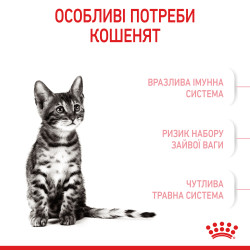 Royal Canin Kitten Sterilised: Повноцінне Харчування для Стерилізованих Кошенят