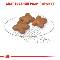 Купити Royal Canin Mini Adult для собак малих порід - збережіть ідеальну вагу вашого вихованця