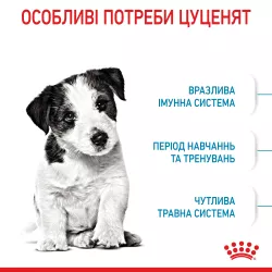 Royal Canin Mini Puppy – Найкращий сухий корм для цуценят маленьких порід