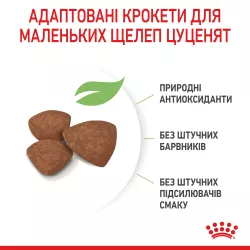 Royal Canin Mini Puppy – Найкращий сухий корм для цуценят маленьких порід