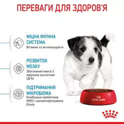 Royal Canin Mini Puppy – Найкращий сухий корм для цуценят маленьких порід