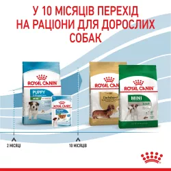 Royal Canin Mini Puppy – Найкращий сухий корм для цуценят маленьких порід