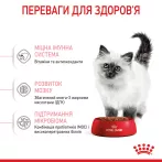 Купити 8+2 кг в Подарунок сухий корм Royal Canin Kitten для кошенят - Найкраща ціна та якість в Україні