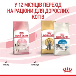 Купити 8+2 кг в Подарунок сухий корм Royal Canin Kitten для кошенят - Найкраща ціна та якість в Україні