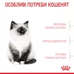 Купити 8+2 кг в Подарунок сухий корм Royal Canin Kitten для кошенят - Найкраща ціна та якість в Україні