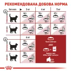 8+2 кг Подарунок Royal Canin Fit 32: Повнораціонний Сухий Корм для Дорослих Котів