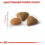 Купити 10 кг за ціною 8 кг Royal Canin Savour Exigent для вибагливих котів | Ваш онлайн-зоомагазин