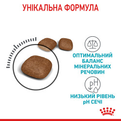 8+2 кг Подарунок! Купити 10 кг Royal Canin Urinary Care – Сухий Корм для Котів, Підтримка Сечовивідних Шляхів