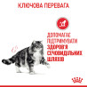 8+2 кг Подарунок! Купити 10 кг Royal Canin Urinary Care – Сухий Корм для Котів, Підтримка Сечовивідних Шляхів