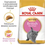 8+2 кг Подарунок | Royal Canin Kitten British Shorthair 10 кг для британських короткошерстих кошенят - оптимальний розвиток і зд