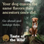 Taste of the Wild Pine Forest Canine Recipe Корм для Собак з Олениною та Бобовими